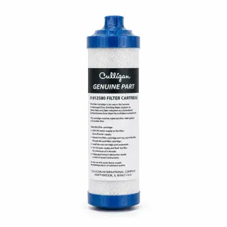 Culligan 01012580 Post Carbon Inline Su Filtri – Orijinal | Filterim.az